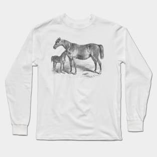 Mare and Foal Vintage Horse Illustration Long Sleeve T-Shirt